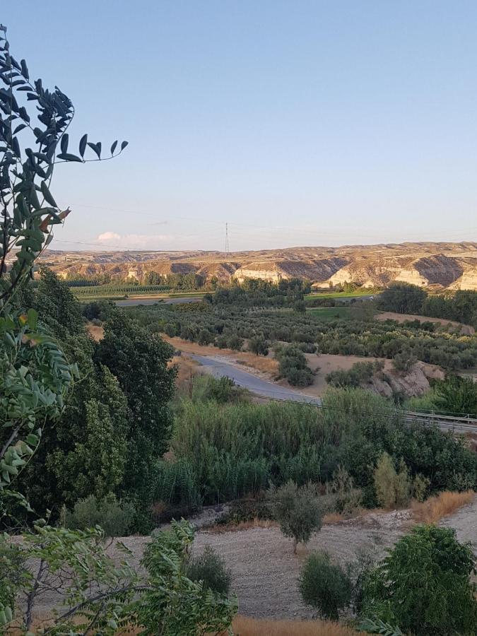 Cueva Maite Διαμέρισμα Cortes de Baza Εξωτερικό φωτογραφία